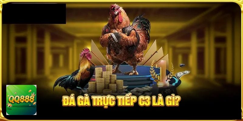 Đá gà đòn - Sức bền và độ gan lì tạo ra khác biệt lớn Đá gà đòn - Sức bền và độ gan lì tạo ra khác biệt lớn